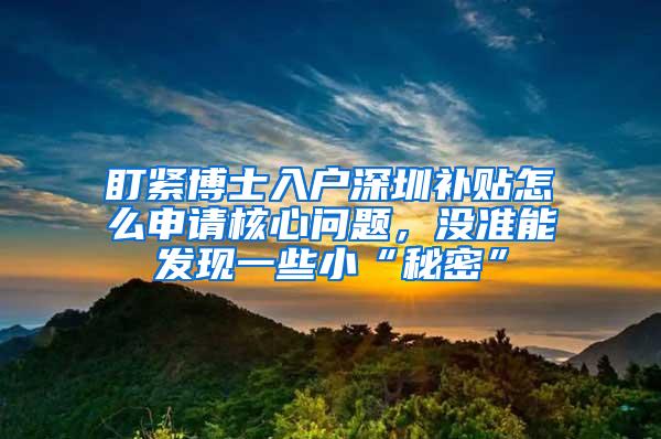 盯紧博士入户深圳补贴怎么申请核心问题，没准能发现一些小“秘密”