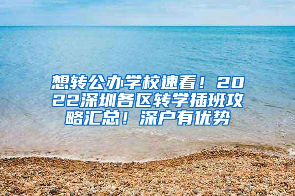 想转公办学校速看！2022深圳各区转学插班攻略汇总！深户有优势