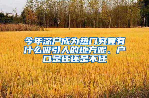 今年深户成为热门究竟有什么吸引人的地方呢、户口是迁还是不迁