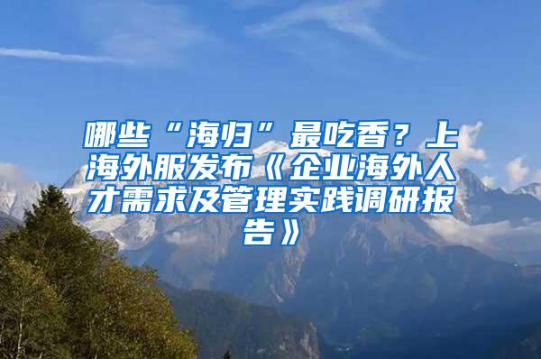 哪些“海归”最吃香？上海外服发布《企业海外人才需求及管理实践调研报告》