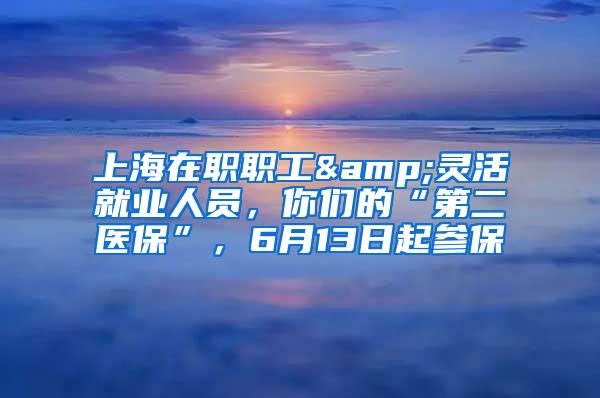 上海在职职工&灵活就业人员，你们的“第二医保”，6月13日起参保