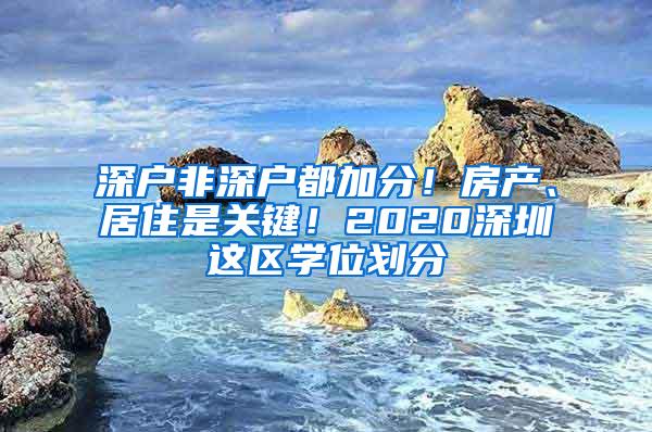 深户非深户都加分！房产、居住是关键！2020深圳这区学位划分