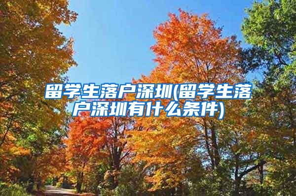 留学生落户深圳(留学生落户深圳有什么条件)