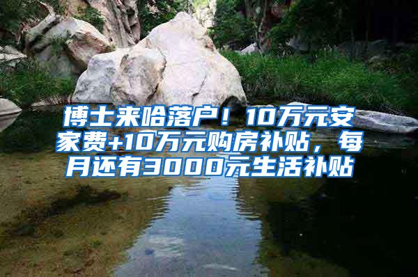 博士来哈落户！10万元安家费+10万元购房补贴，每月还有3000元生活补贴↘