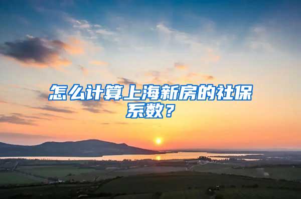 怎么计算上海新房的社保系数？