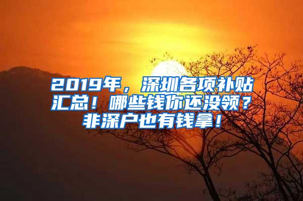 2019年，深圳各项补贴汇总！哪些钱你还没领？非深户也有钱拿！