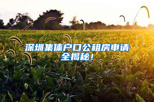 深圳集体户口公租房申请全揭秘！