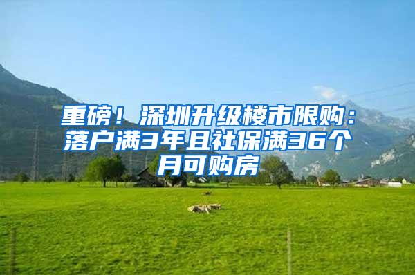 重磅！深圳升级楼市限购：落户满3年且社保满36个月可购房