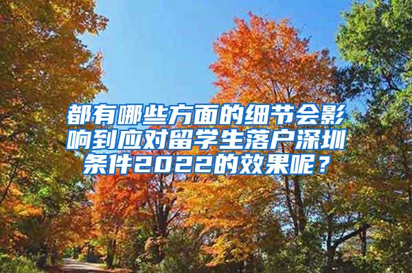 都有哪些方面的细节会影响到应对留学生落户深圳条件2022的效果呢？