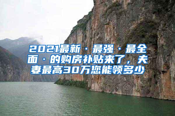 2021最新·最强·最全面·的购房补贴来了，夫妻最高30万您能领多少