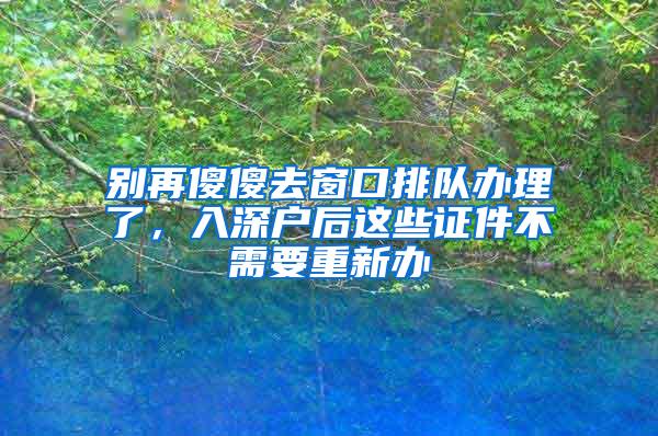 别再傻傻去窗口排队办理了，入深户后这些证件不需要重新办