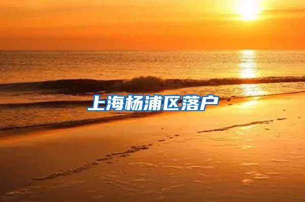 上海杨浦区落户