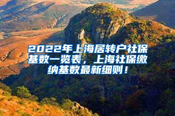 2022年上海居转户社保基数一览表，上海社保缴纳基数最新细则！