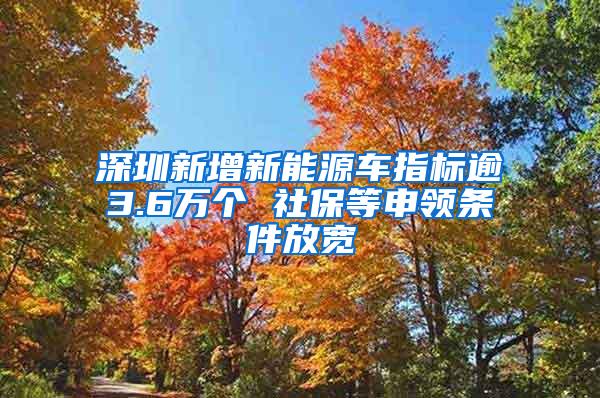 深圳新增新能源车指标逾3.6万个 社保等申领条件放宽