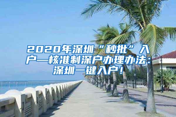 2020年深圳“秒批”入户—核准制深户办理办法：深圳一键入户！