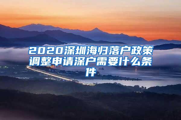 2020深圳海归落户政策调整申请深户需要什么条件