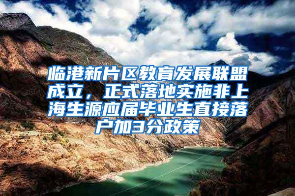 临港新片区教育发展联盟成立，正式落地实施非上海生源应届毕业生直接落户加3分政策