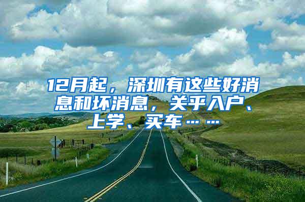 12月起，深圳有这些好消息和坏消息，关乎入户、上学、买车……