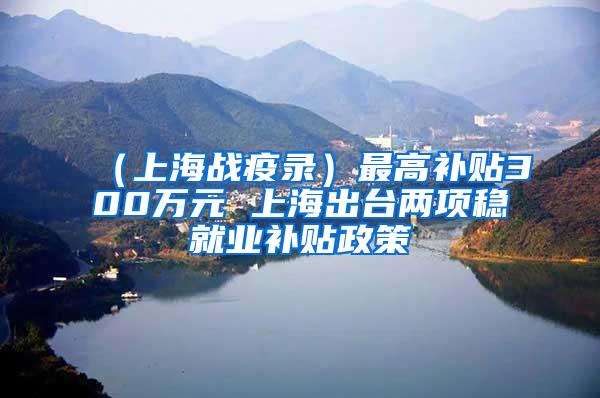 （上海战疫录）最高补贴300万元 上海出台两项稳就业补贴政策