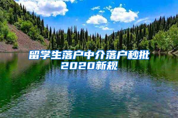 留学生落户中介落户秒批2020新规