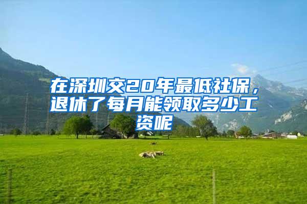 在深圳交20年最低社保，退休了每月能领取多少工资呢