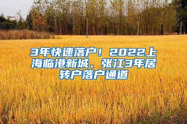 3年快速落户！2022上海临港新城、张江3年居转户落户通道