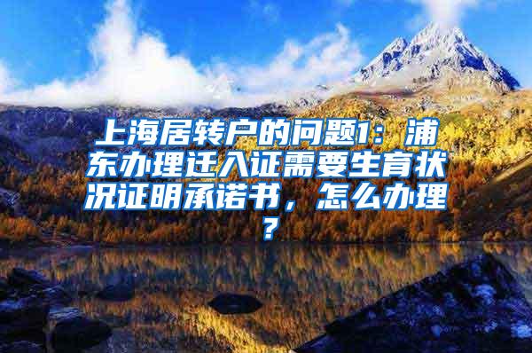 上海居转户的问题1：浦东办理迁入证需要生育状况证明承诺书，怎么办理？