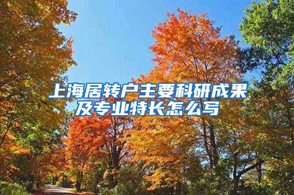 上海居转户主要科研成果及专业特长怎么写