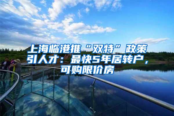 上海临港推“双特”政策引人才：最快5年居转户，可购限价房