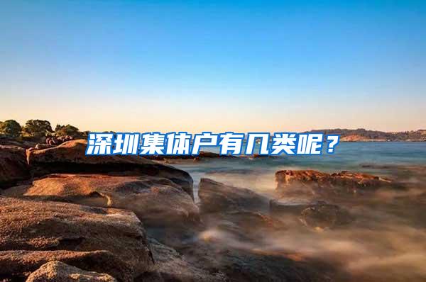 深圳集体户有几类呢？