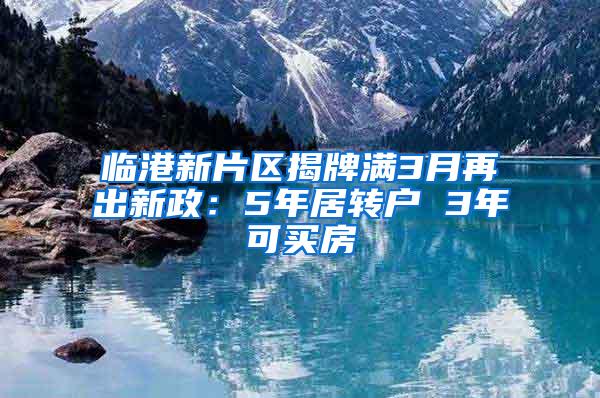 临港新片区揭牌满3月再出新政：5年居转户 3年可买房