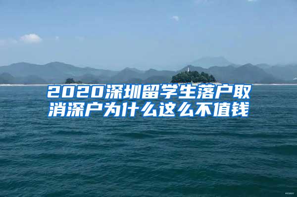 2020深圳留学生落户取消深户为什么这么不值钱