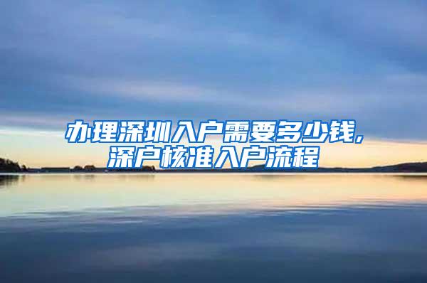 办理深圳入户需要多少钱,深户核准入户流程