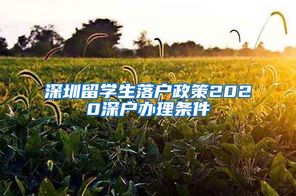 深圳留学生落户政策2020深户办理条件