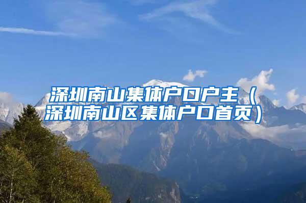 深圳南山集体户口户主（深圳南山区集体户口首页）