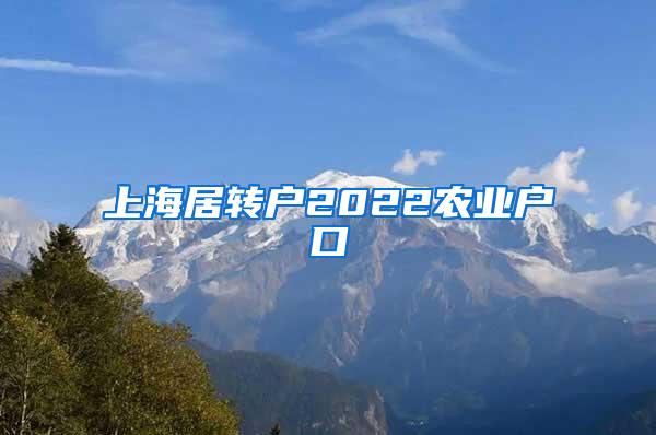 上海居转户2022农业户口