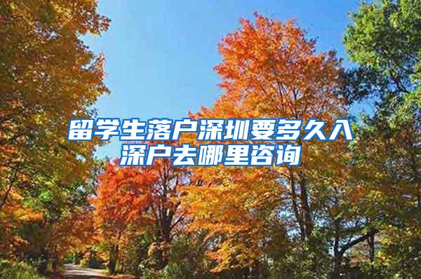 留学生落户深圳要多久入深户去哪里咨询