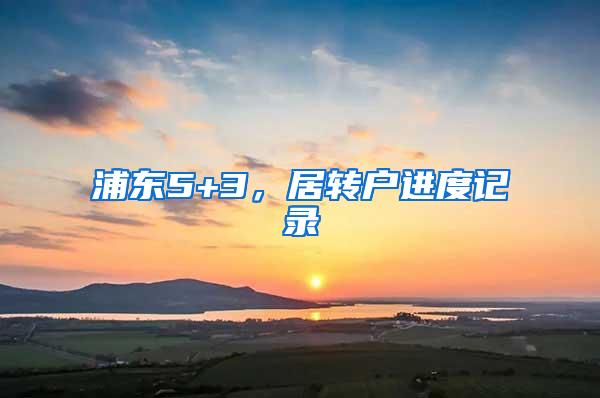 浦东5+3，居转户进度记录