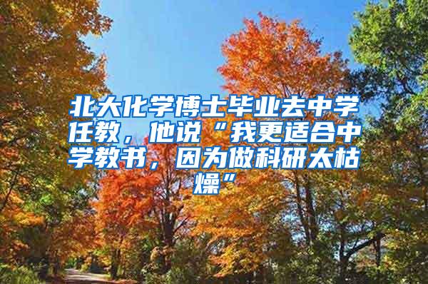 北大化学博士毕业去中学任教，他说“我更适合中学教书，因为做科研太枯燥”