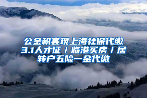 公金积套现上海社保代缴3.1人才证／临港买房／居转户五险一金代缴