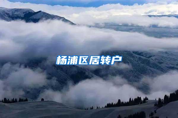 杨浦区居转户