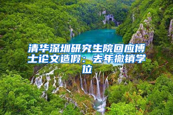 清华深圳研究生院回应博士论文造假：去年撤销学位