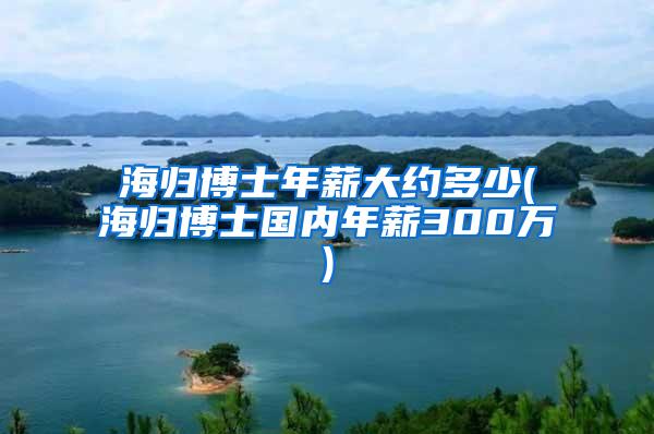 海归博士年薪大约多少(海归博士国内年薪300万)