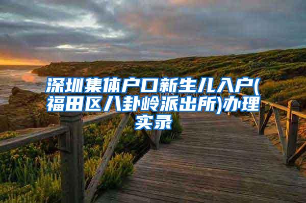 深圳集体户口新生儿入户(福田区八卦岭派出所)办理实录