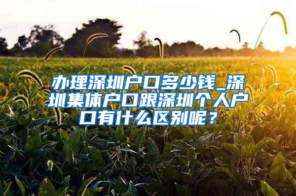 办理深圳户口多少钱_深圳集体户口跟深圳个人户口有什么区别呢？