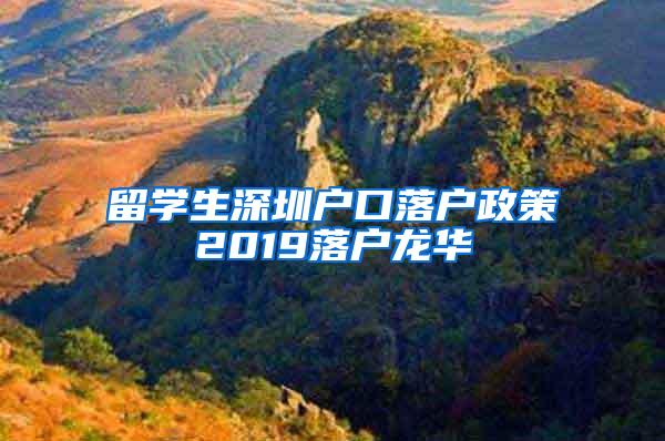 留学生深圳户口落户政策2019落户龙华