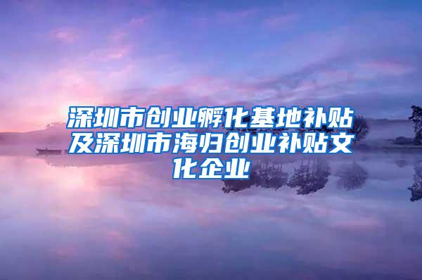 深圳市创业孵化基地补贴及深圳市海归创业补贴文化企业