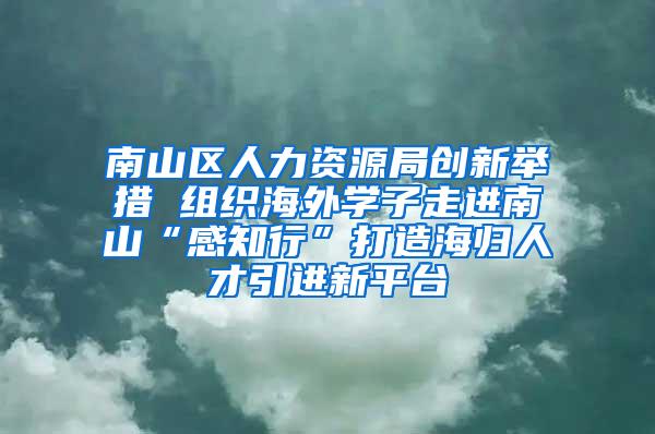 南山区人力资源局创新举措 组织海外学子走进南山“感知行”打造海归人才引进新平台