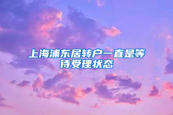 上海浦东居转户一直是等待受理状态