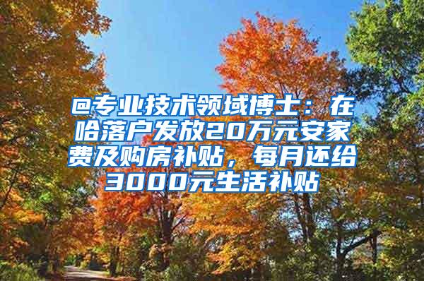 @专业技术领域博士：在哈落户发放20万元安家费及购房补贴，每月还给3000元生活补贴